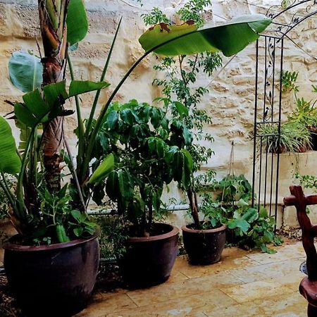 הגן הקסום, הצימר בבאר שבע Hotell Eksteriør bilde
